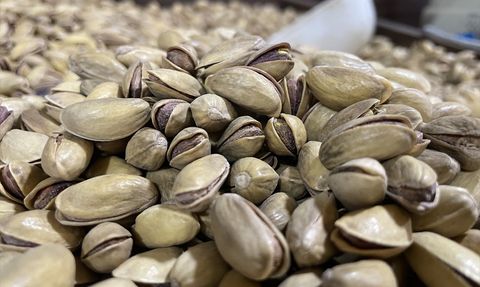 Türkiye Fıstık Üretiminde Yeni Rekor: 383 Bin Ton