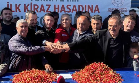 Manisa'da İlk Kiraz Hasadı Yapıldı