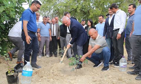 Alanya Keçiboynuzu Coğrafi İşaretle Tescillendi