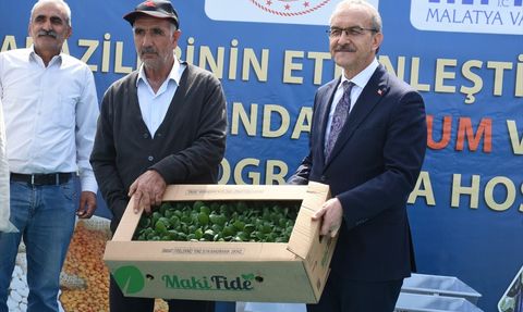 Malatya'da 1.85 Milyon Sebze Fidesi Dağıtımı Başladı