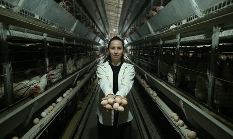 Yeni Nesil Çiftçiler: Yapay Zeka ile Üretim Kalitesini Artırmak