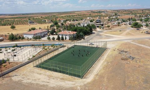 Şanlıurfa'nın Kız Ragbi Takımı Büyük Başarı Elde Etti