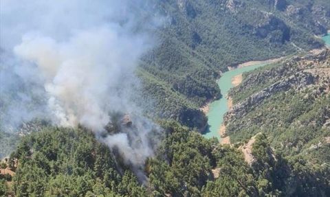 Adana'da Orman Yangını: Havadan ve Karadan Mücadele