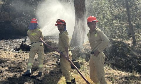 Afyonkarahisar'da Orman Yangını Kontrol Altına Alındı