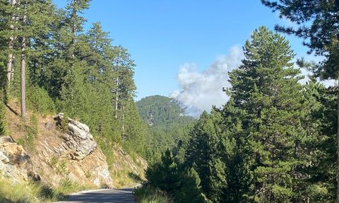 Alanya'da Orman Yangını Nezaret Altında