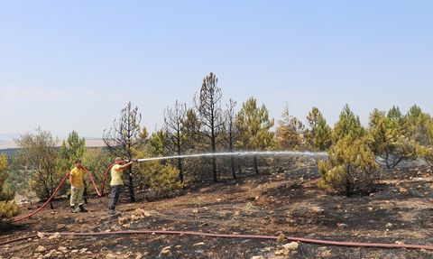 Amasya'daki Orman Yangını Kontrol Altına Alındı