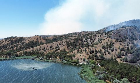 Ankara'da Eymir Gölü Yakınlarında Orman Yangını