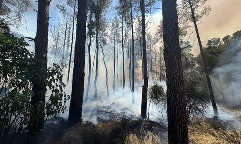 Antalya Aksu'da Yangın Söndürme Çalışmaları Devam Ediyor
