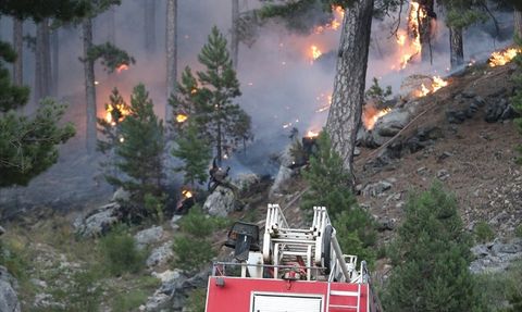 Antalya'daki Orman Yangınları ile Mücadele Devam Ediyor