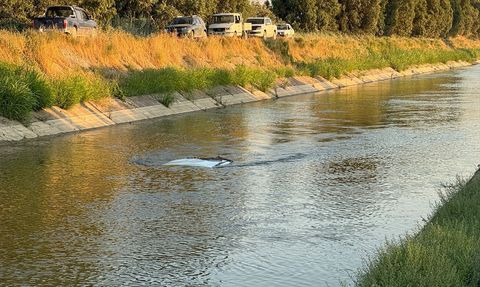 Aydın'da Pikap Devrildi, Sürücü Hayatını Kaybetti