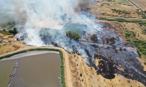 Aydın'daki Otluk Alan Yangını Kontrol Altına Alındı