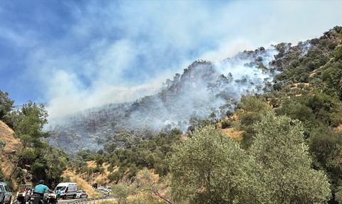 Aydın'ın Efeler İlçesinde Orman Yangını Kontrol Altına Alınıyor