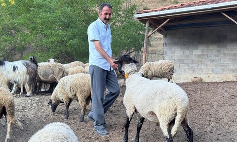 Bartın'da Çiftçiden Dronla Yaratıcı Kurt Önlemi