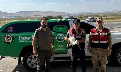 Batman'da Yaralı Leylek Tedavi Altına Alındı