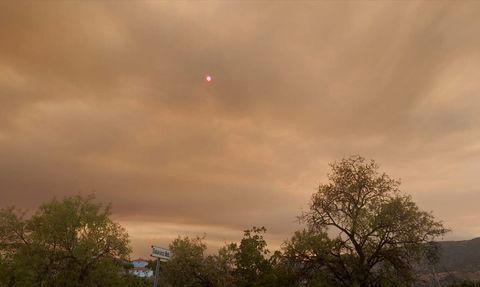 Bilecik Orman Yangını Eskişehir'i Etkisi Altına Aldı