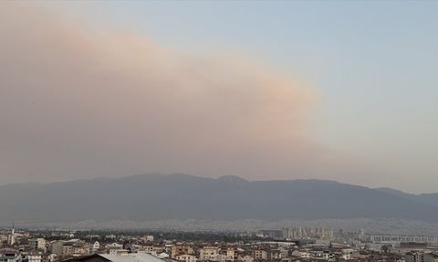 Bursa'da Orman Yangını: Duman Kent Merkezini Sardı