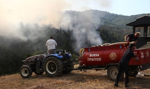 Bursa'da Orman Yangını: Gürsu ile Kestel Arasındaki Ekipler Müdahaleye Devam Ediyor