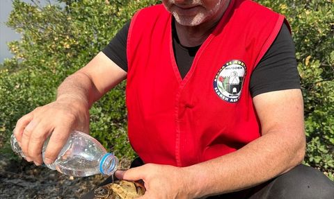 Bursa'daki Orman Yangını 5. Günü Geride Bıraktı