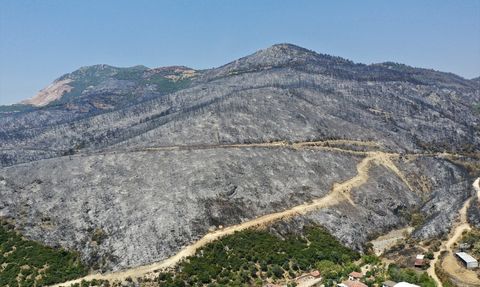 Bursa'daki Orman Yangını: Karahıdır Mahallesi Sakinlerinin Yaşadığı Korku Dolu Anlar