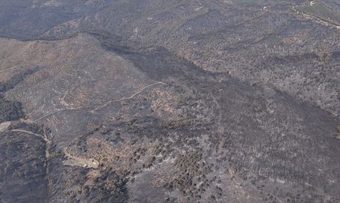 Bursa'daki Orman Yangınına 5. Gün Müdahale Devam Ediyor