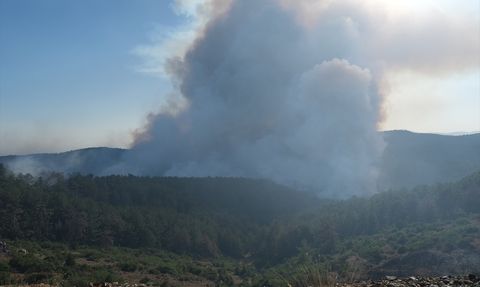 Bursa Orhaneli'deki Orman Yangınına Mücadele Devam Ediyor