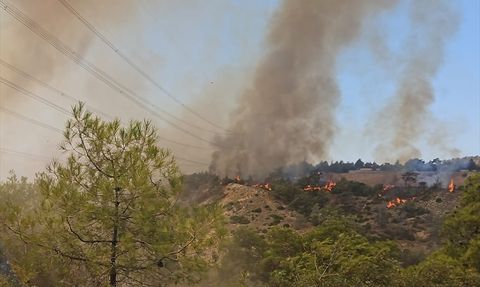 Denizli'de Orman Yangını Kontrol Altına Alındı