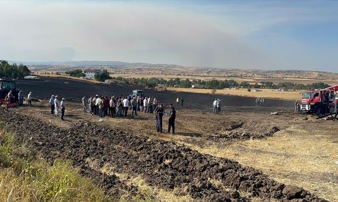 Çankırı'da Korkunç Yangın: 100 Dekar Arazi ve Hayvanlar Zarar Gördü