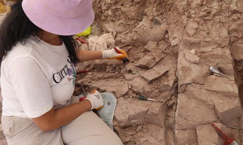 Çorakyerler Omurgalı Fosil Lokalitesi'nde Kazı Çalışmaları Başladı