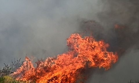 Denizli'deki Orman Yangını Kontrol Altına Alındı