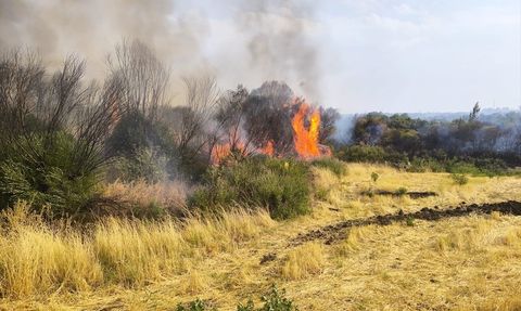 Diyarbakır Lice'de Orman Yangını Kontrol Altına Alındı