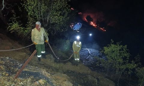 Elazığ'daki örtü yangını kontrol altına alındı