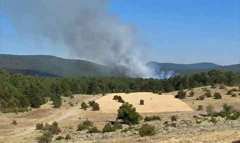 Eskişehir Seyitgazi'de Orman Yangınına Müdahale Ediliyor