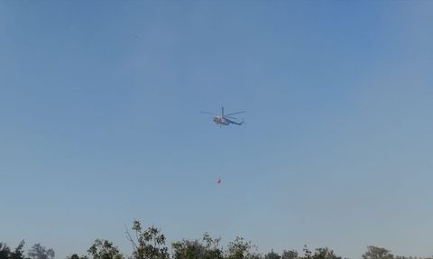 Gaziantep'te Orman Yangınına Hızlı Müdahale