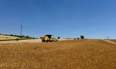 Isparta'da Hububat Hasadı Başladı