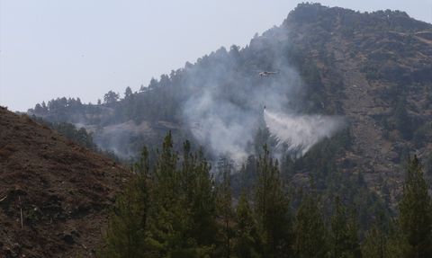 Kahramanmaraş Orman Yangını Kontrol Altında