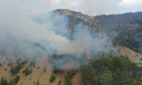 Kahramanmaraş Orman Yangınına Hava ve Karadan Müdahale Devam Ediyor
