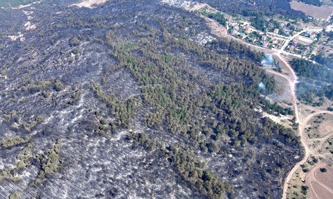 Karabük'te Orman Yangını Nedeniyle Tahliyeler Yapıldı
