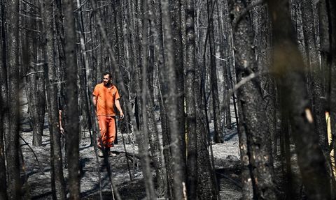 Karabük'te Yangınla Mücadele Devam Ediyor