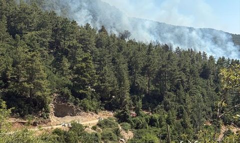 Kaş'ta Orman Yangını: Mücadele Devam Ediyor