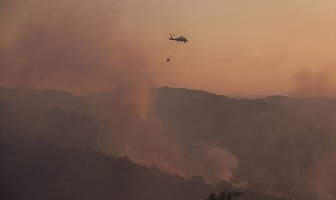 Kocaeli'de Orman Yangını Kontrol Altına Alındı