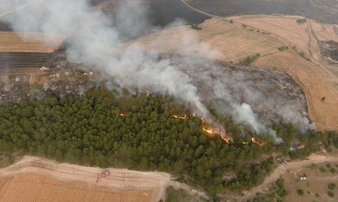 Kütahya Orman Yangını Kontrol Altına Alındı