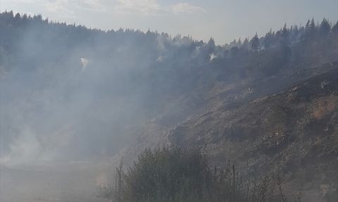 Malatya'da Orman Yangınlarına Müdahale Sürüyor