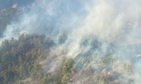 Mersin'de Orman Yangını Kontrol Altına Alındı