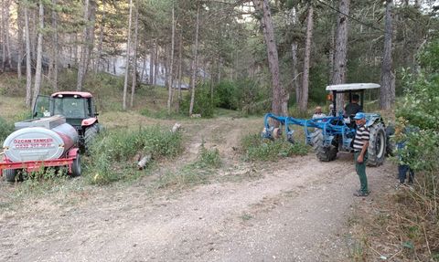 Mudurnu'da Orman Yangınına Hızla Müdahale Ediliyor