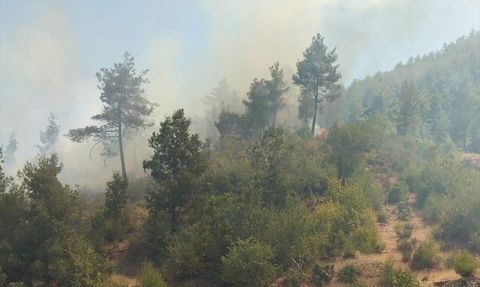 Muğla'daki Orman Yangınına Müdahale Devam Ediyor