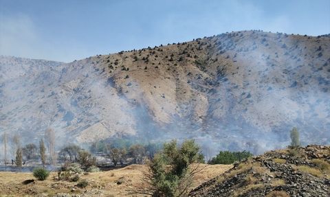 Niğde'de Ağaçlık Alanda Yangın Kontrol Altına Alındı