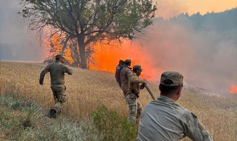 Orman Yangınlarıyla İlgili Gözaltılar ve Gelişmeler