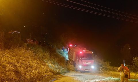 Sakarya Akyazı'daki Orman Yangını Kontrol Altına Alındı