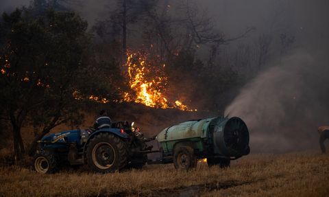 Sakarya'daki Orman Yangınına Müdahale Devam Ediyor