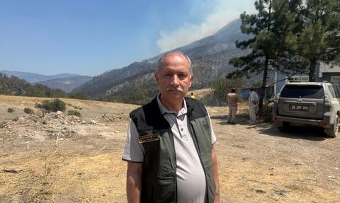 Sakarya'daki Orman Yangınına Müdahale Devam Ediyor